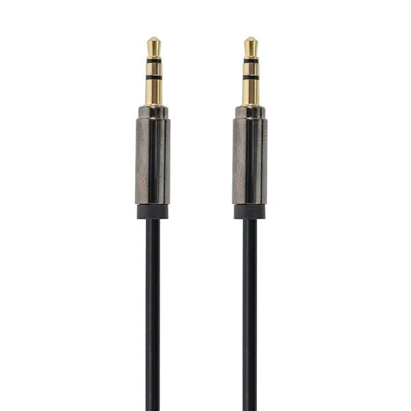 Audio