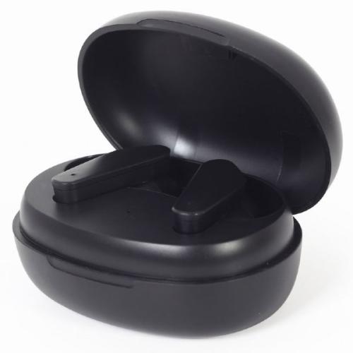 ANC Draadloze In-Ears met Oplaadcase Zwart