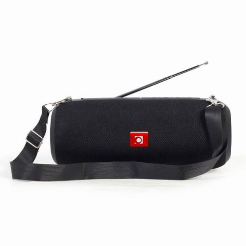 Draagbare Bluetooth Speaker met FM Radio