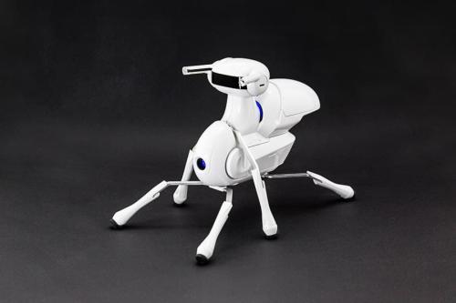 Antbo DIY Robot Kit