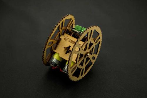 Flamewheel 2WD Remote Control Robot